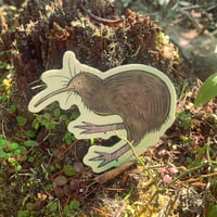 Image 1 of kiwi bird sticker