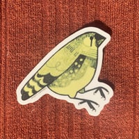 Image 1 of zebra finch sticker