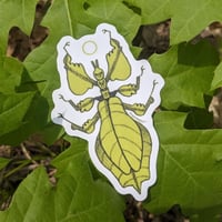 Image 2 of malaysian leaf insect sticker