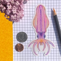 Image 3 of transparent bigfin reef squid sticker