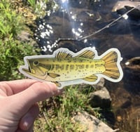 Image 1 of largemouth bass sticker