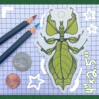 Image 3 of malaysian leaf insect sticker