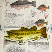 Image 2 of largemouth bass sticker