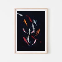 Koi