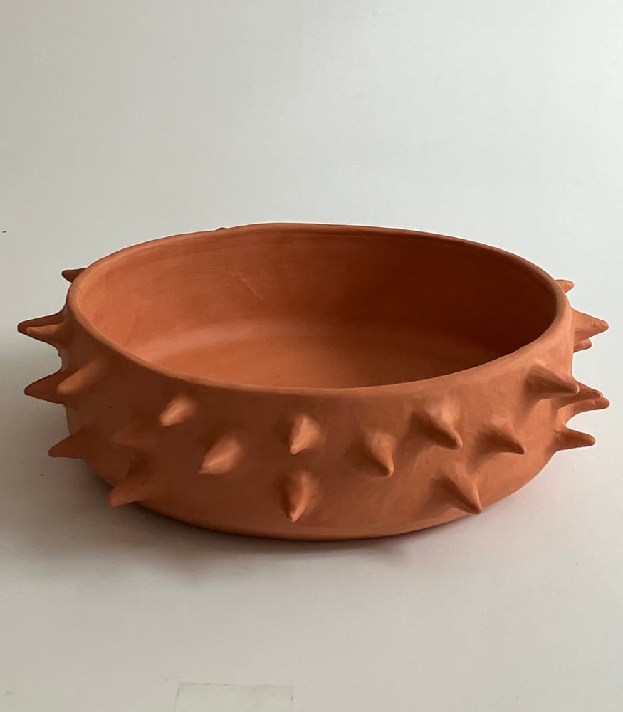 Image of spiky planter 1