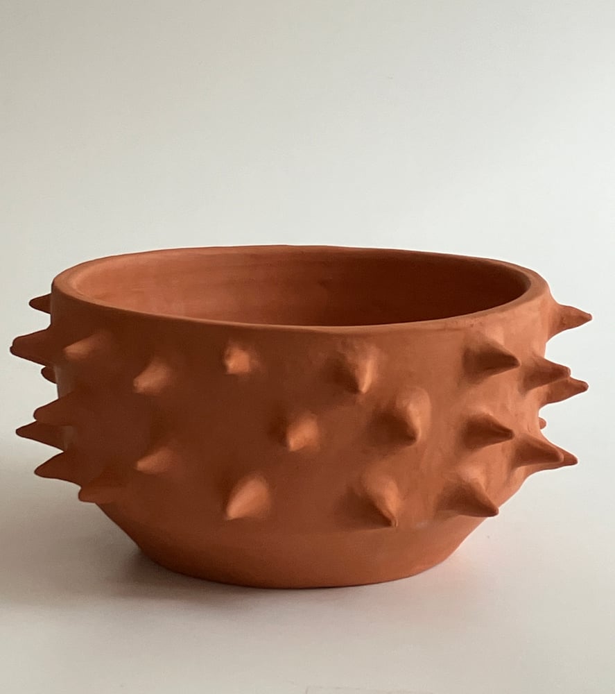 Image of spiky planter 2