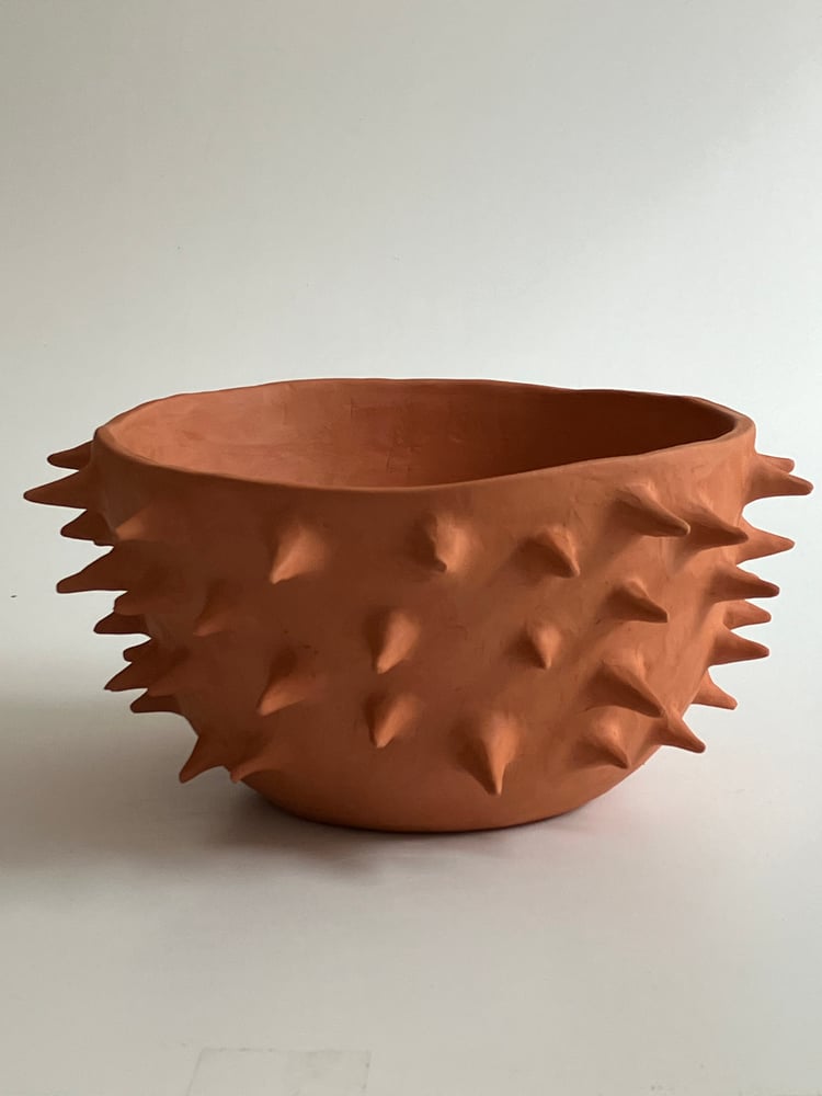 Image of spiky planter 3