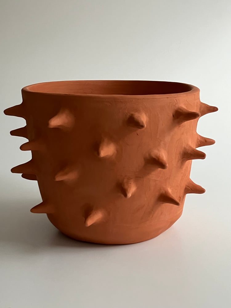 Image of spiky planter 4