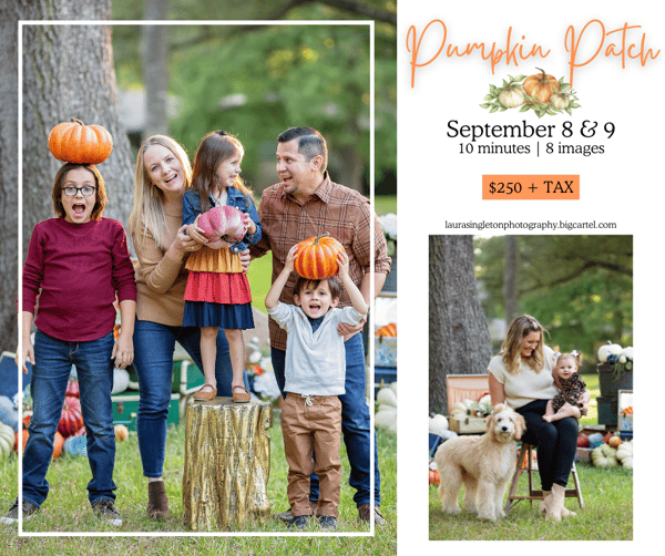 Image of Pumpkin Patch Mini Sessions