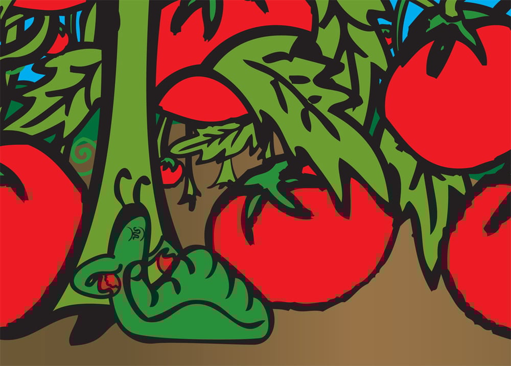 Veggies Collection