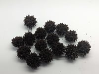 Image 1 of Sweet Gum Pod Seed  botanicals