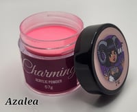 Image 16 of Acrylic Powders