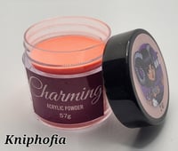 Image 18 of Acrylic Powders
