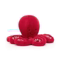 Cranberry Octopus Little  