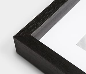 Image of Glasgow Art |  Cranes