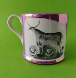 Squirrel and Ox mug - World of Wonders