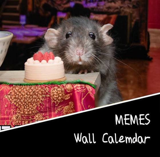 Image of 2025 MEMES Wall Calemdar 