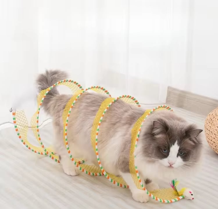 Image of Cat Tunnel Toy