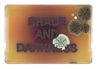 Shade and Darkness