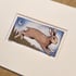 Jackrabbit and Moon - matted art print Image 2