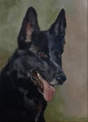 Oil painting portrait / Retrato al óleo de tu mascota