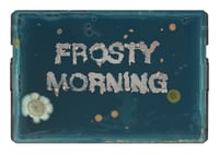 Frosty Morning