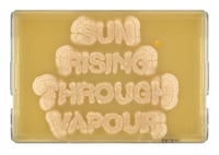 Image 2 of Sun Rising Through Vapour