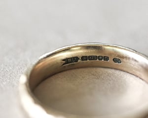 Image of 9ct gold 4mm horn texture ring