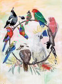 Image 3 of The Flock