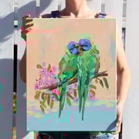 Image 1 of Lorikeets
