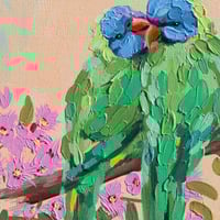 Image 2 of Lorikeets