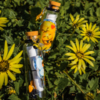 Image 1 of Bees - Message in a Bottle