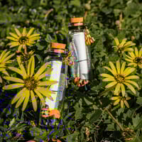Image 2 of Bees - Message in a Bottle