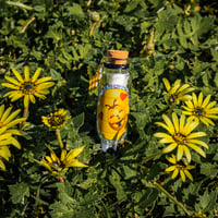 Image 3 of Bees - Message in a Bottle