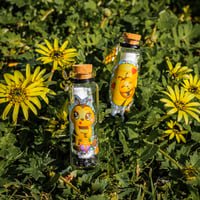 Image 4 of Bees - Message in a Bottle