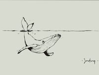 Image 1 of • VINILO WHALE •
