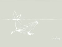 Image 2 of • VINILO WHALE •