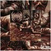 KRAANIUM - CHRONICLES OF PERVERSION [CD]