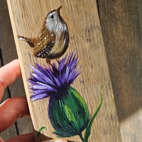 Image 4 of Wee wren, thistle and butterfly.