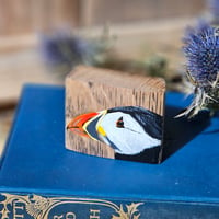 Image 2 of Wee Puffin.