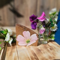 Image 1 of Bramble flower. 