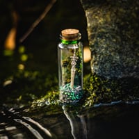 Image 3 of Sword in a Bottle - Message in a Bottle