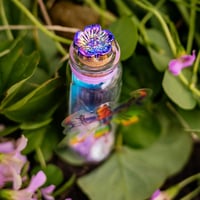 Image 3 of Fairies (3D) - Message in a Bottle