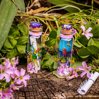 Image 7 of Fairies (3D) - Message in a Bottle