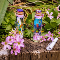 Image 1 of Fairies (3D) - Message in a Bottle
