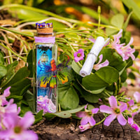 Image 12 of Fairies (3D) - Message in a Bottle