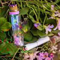 Image 13 of Fairies (3D) - Message in a Bottle