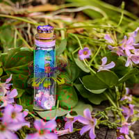 Image 9 of Fairies (3D) - Message in a Bottle