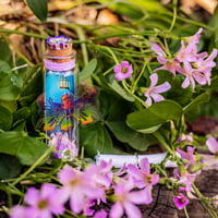 Image 10 of Fairies (3D) - Message in a Bottle