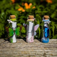 Image 5 of Butterfly 3D - Message in a Bottle